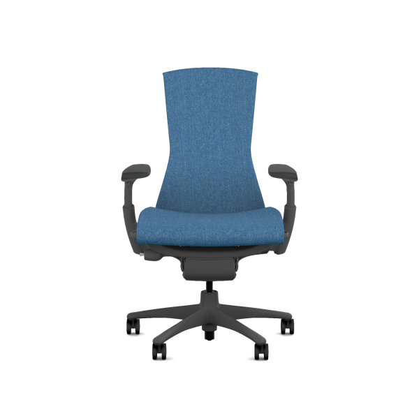 Herman Miller Embody Graphite - Spring Edition