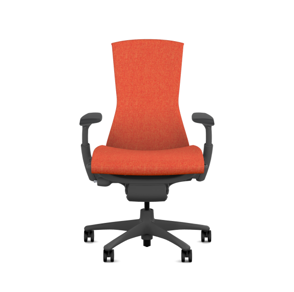 Herman Miller Embody Graphite - Spring Edition