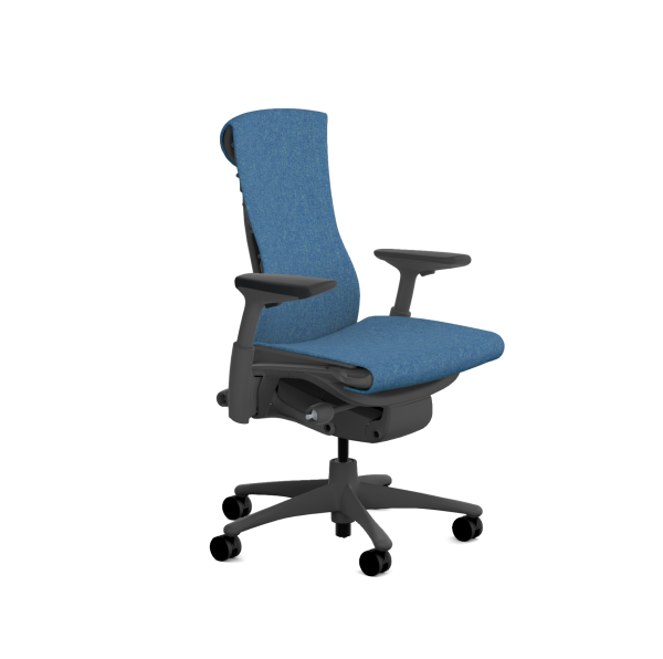 Herman Miller Embody Graphite - Spring Edition